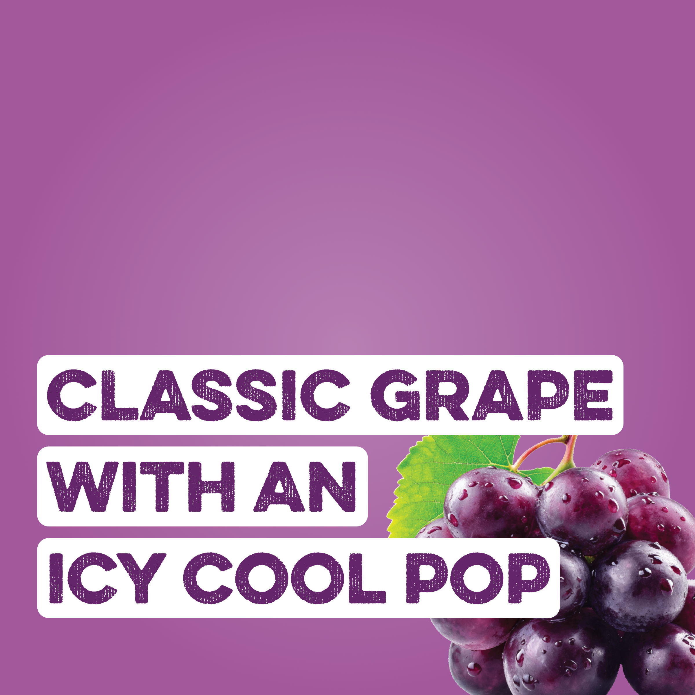 Clear Protein Soda: Classic Grape (16 Oz. | 12 Pack)